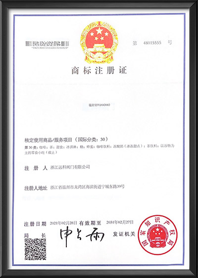 商標(biāo)注冊(cè)證（10）