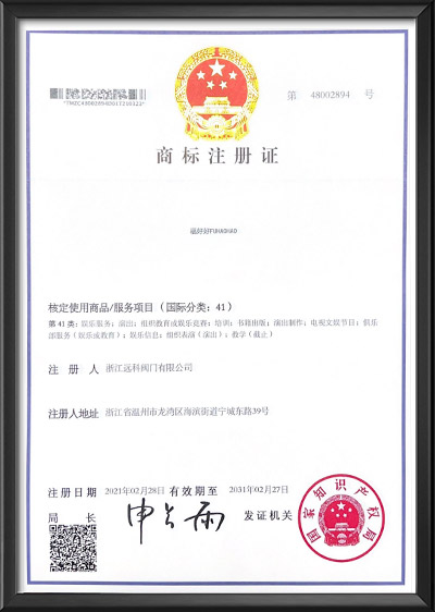 商標(biāo)注冊(cè)證（9）